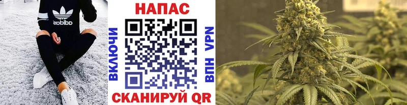 Бошки марихуана план  Купить где  Дагестанские Огни 